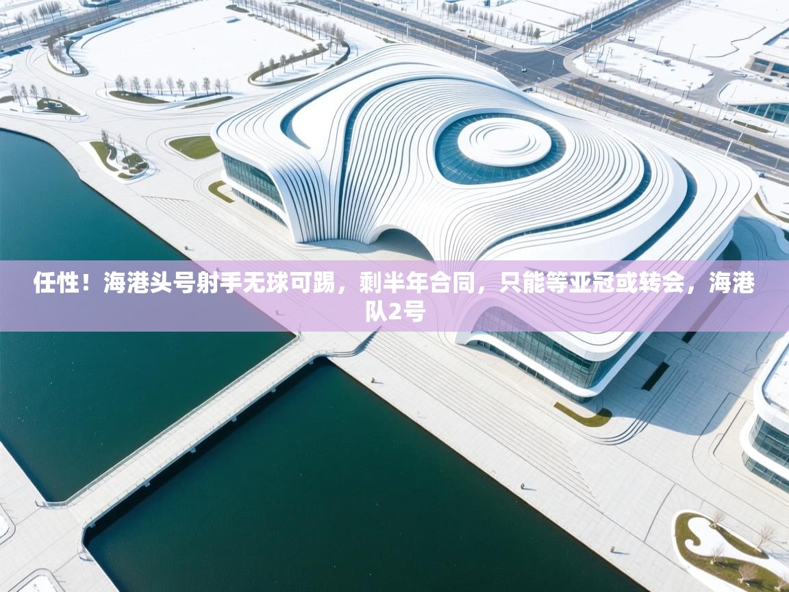 任性!海港头号射手无球可踢,剩半年合同,只能等亚冠或转会,海港队2号 第1张