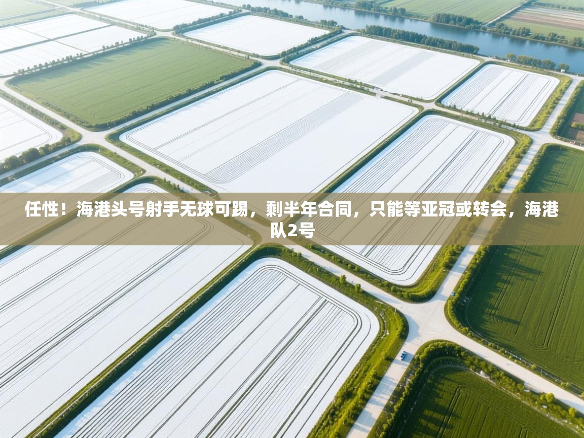 任性!海港头号射手无球可踢,剩半年合同,只能等亚冠或转会,海港队2号 第2张