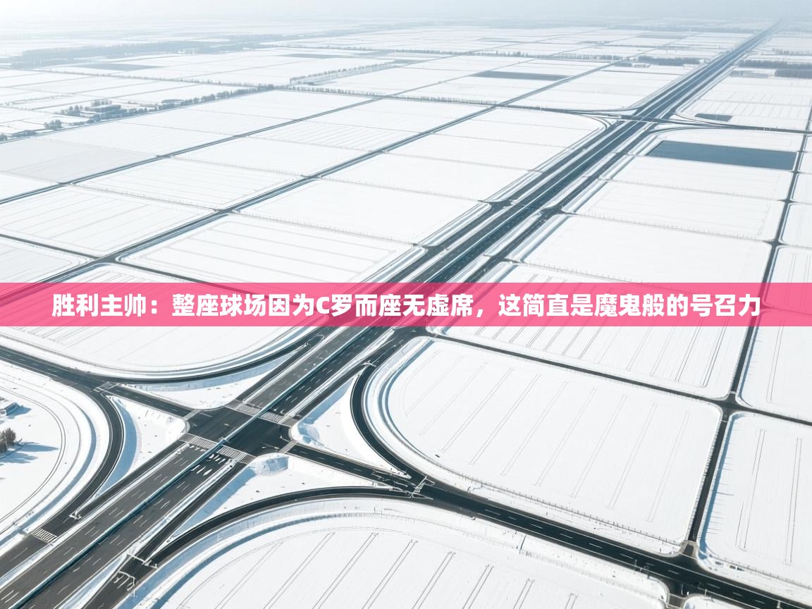 胜利主帅：整座球场因为C罗而座无虚席，这简直是魔鬼般的号召力  第2张