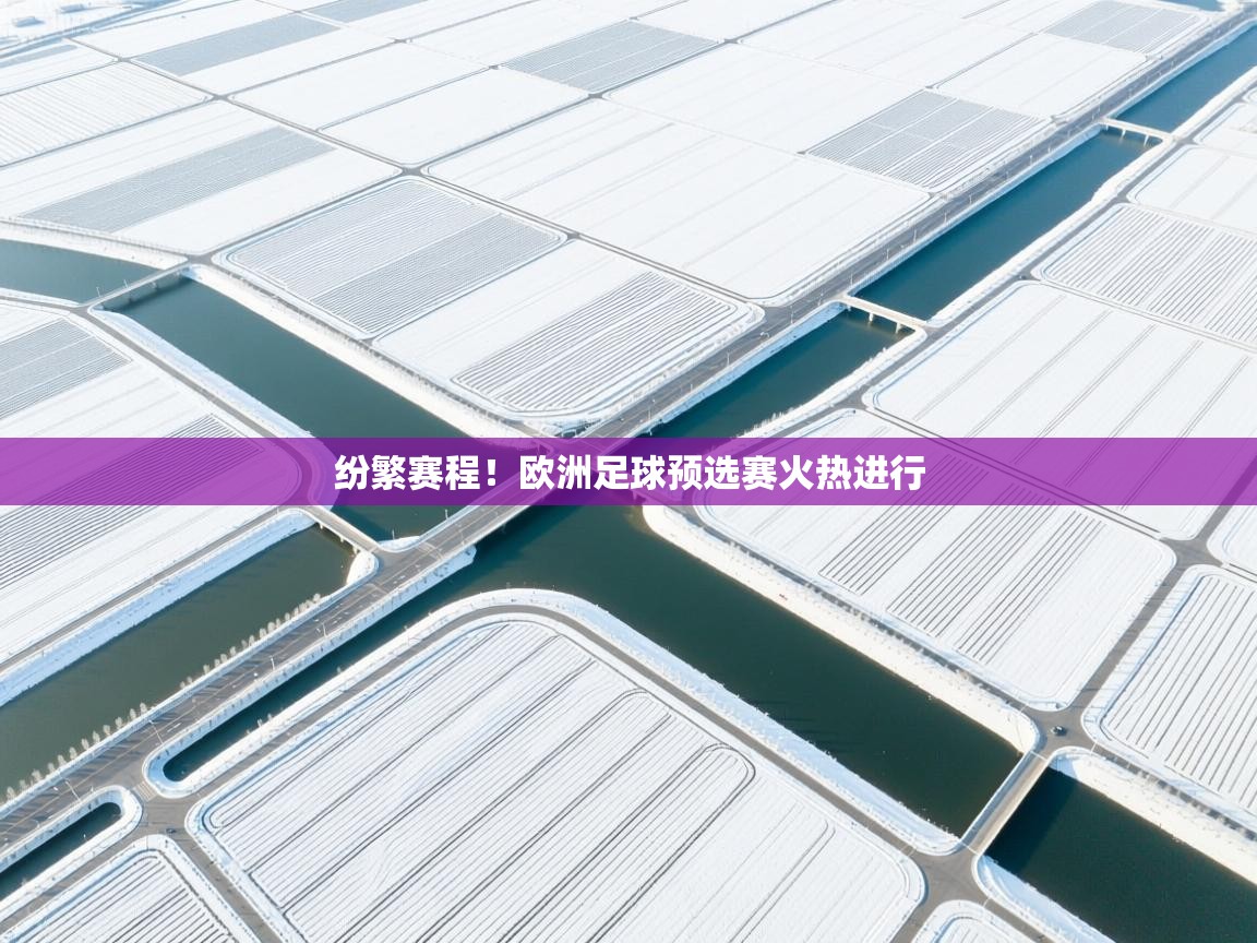 纷繁赛程！欧洲足球预选赛火热进行  第2张
