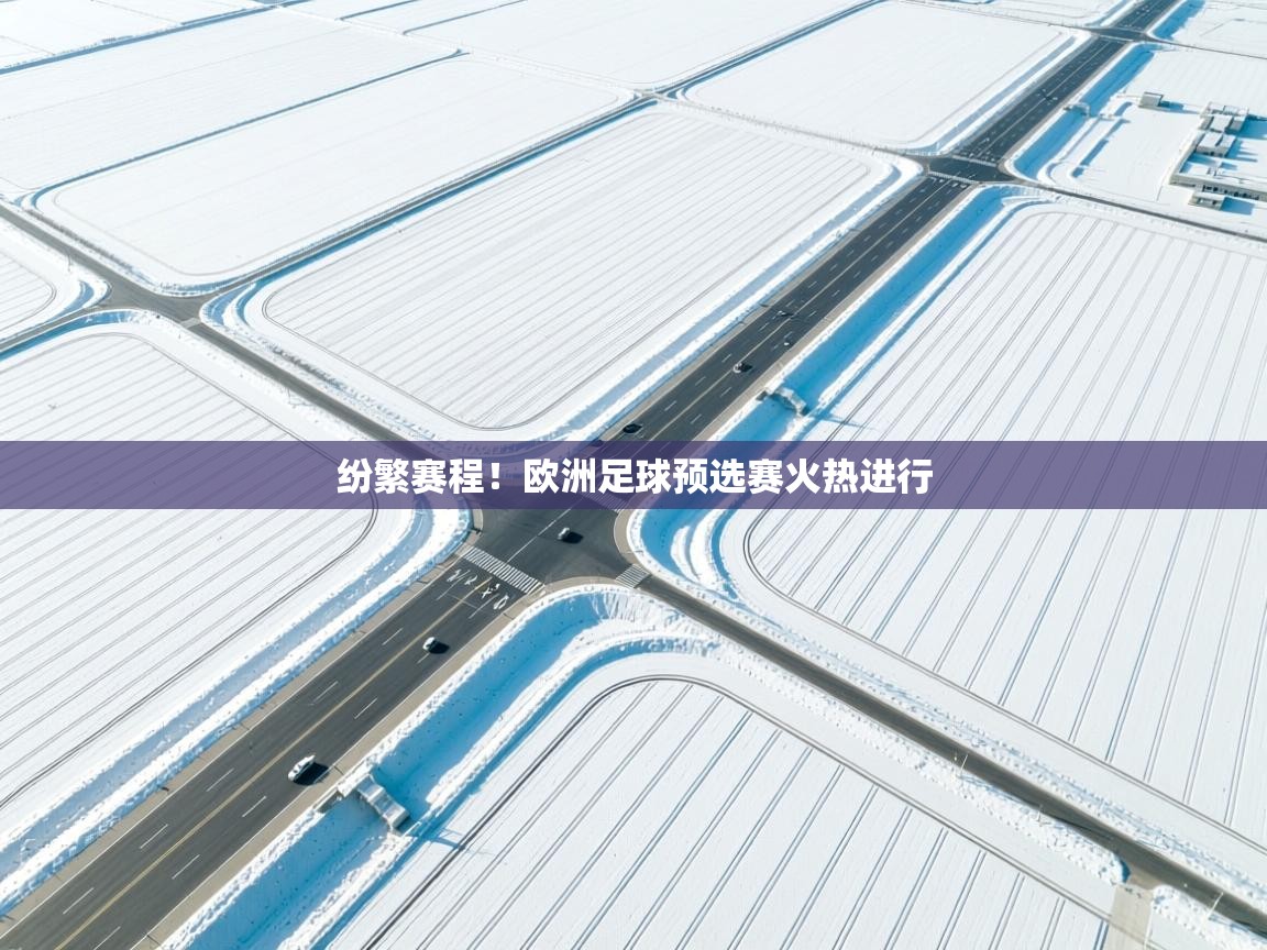 纷繁赛程！欧洲足球预选赛火热进行  第1张