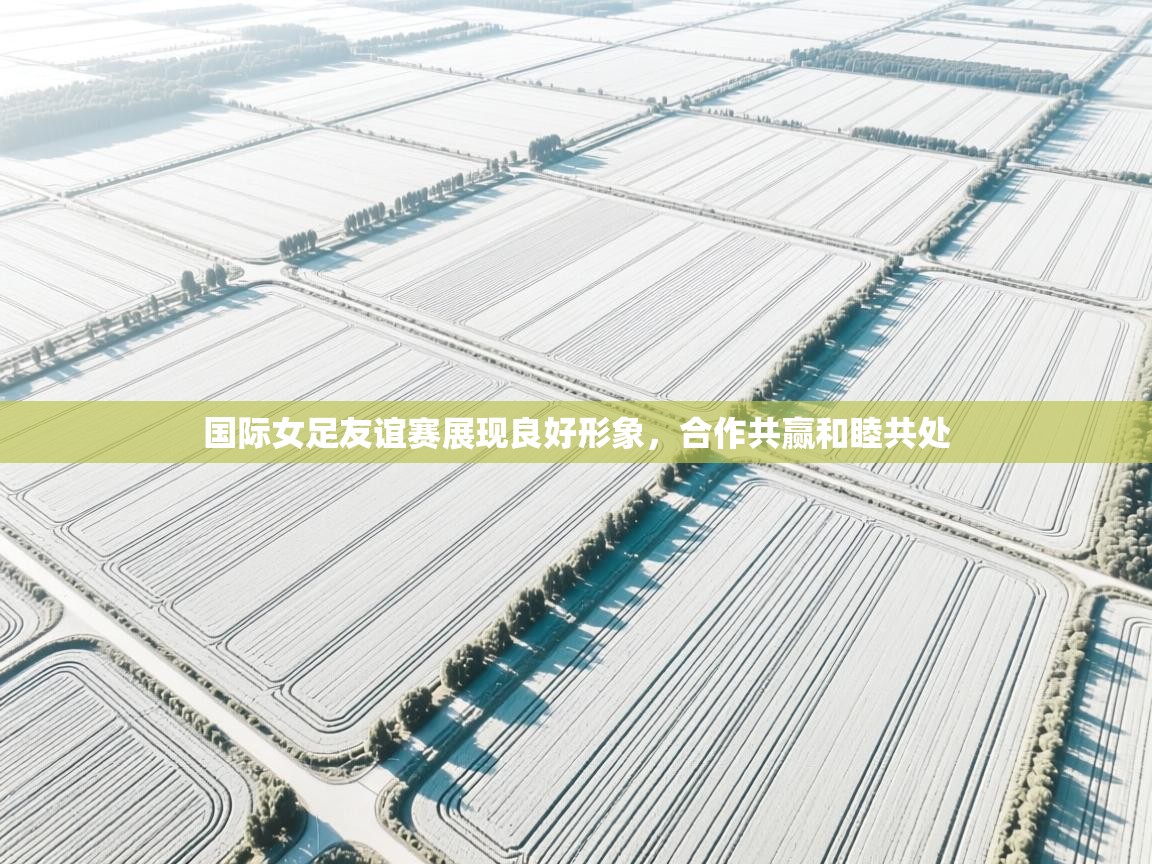 国际女足友谊赛展现良好形象，合作共赢和睦共处  第1张