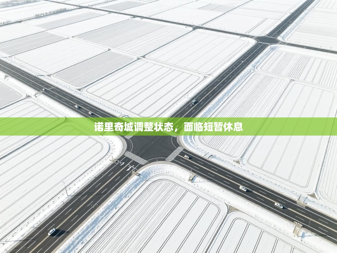 诺里奇城调整状态，面临短暂休息  第2张