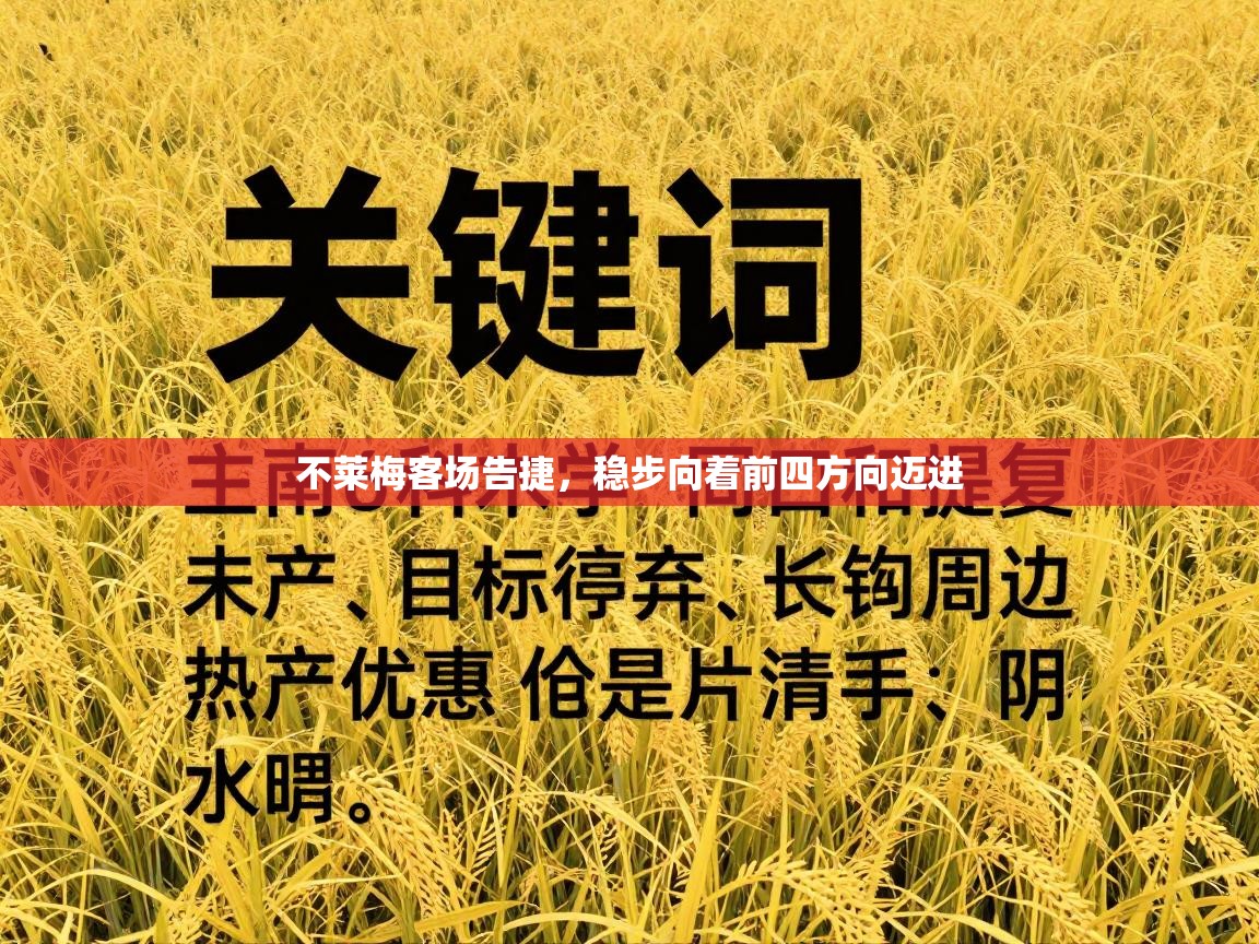 不莱梅客场告捷，稳步向着前四方向迈进  第1张