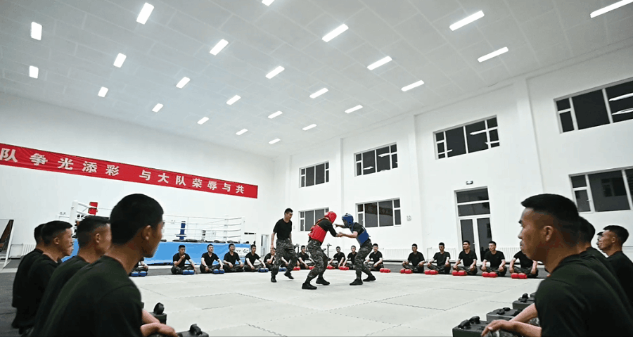 关于瑞典篮球锦标争夺战搏击正酣，胜负犹未可知的信息