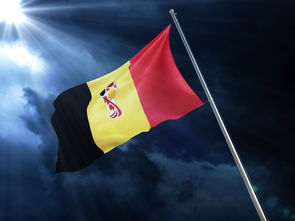 开云体育入口官网-豪门对决！亚洲足球赛场风云再起